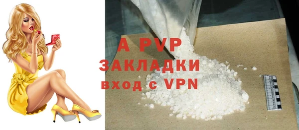 эйфоретик Богданович