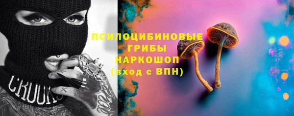 эйфоретик Богданович