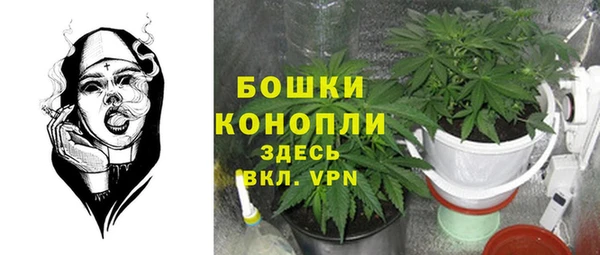 эйфоретик Богданович