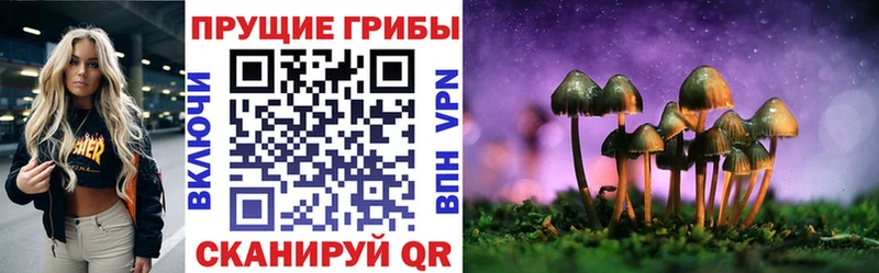 Галлюциногенные грибы MAGIC MUSHROOMS Беломорск